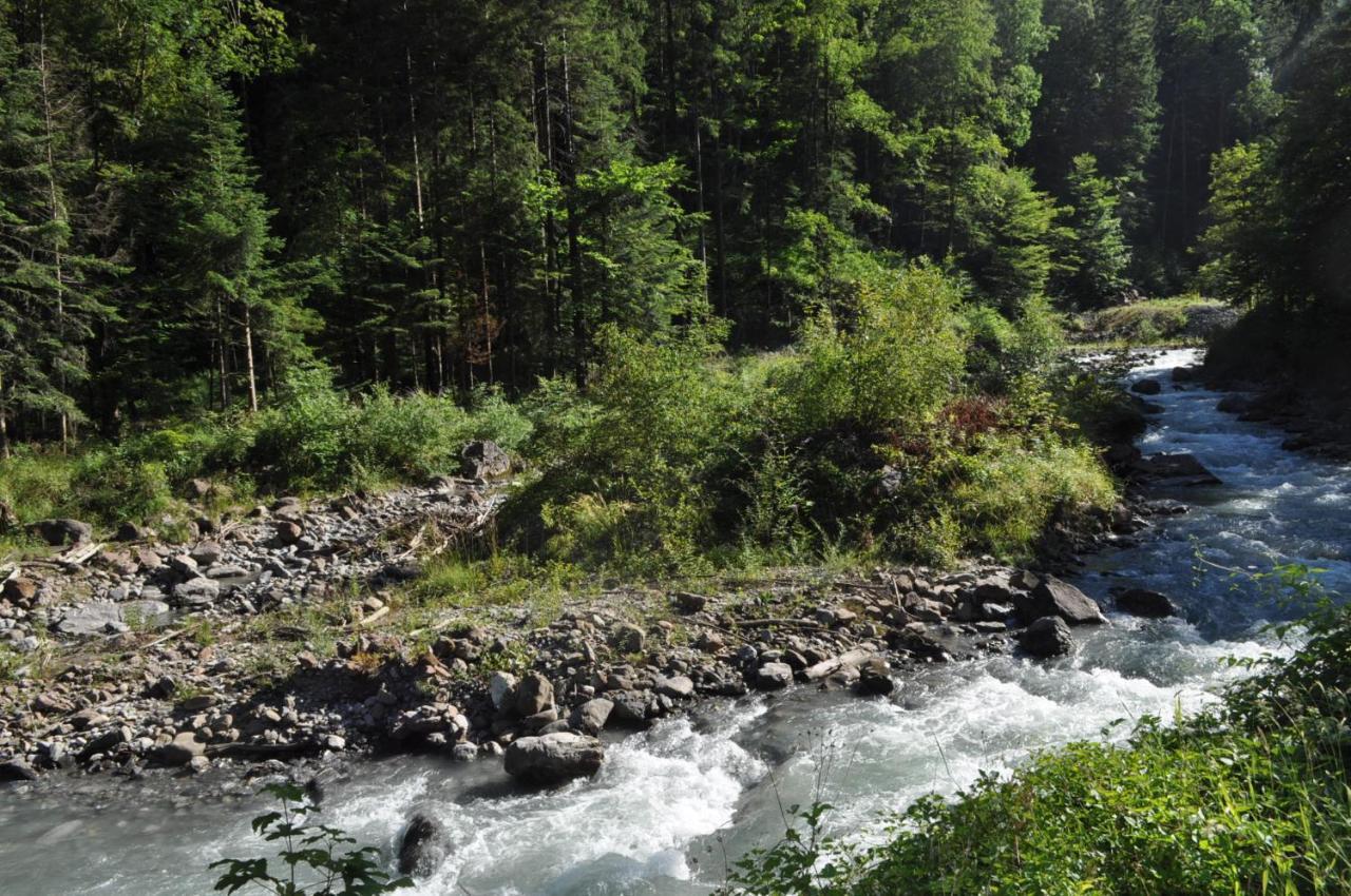 Ferienwohnung Ob Vierwaldsaettersee Isenthal Екстериор снимка